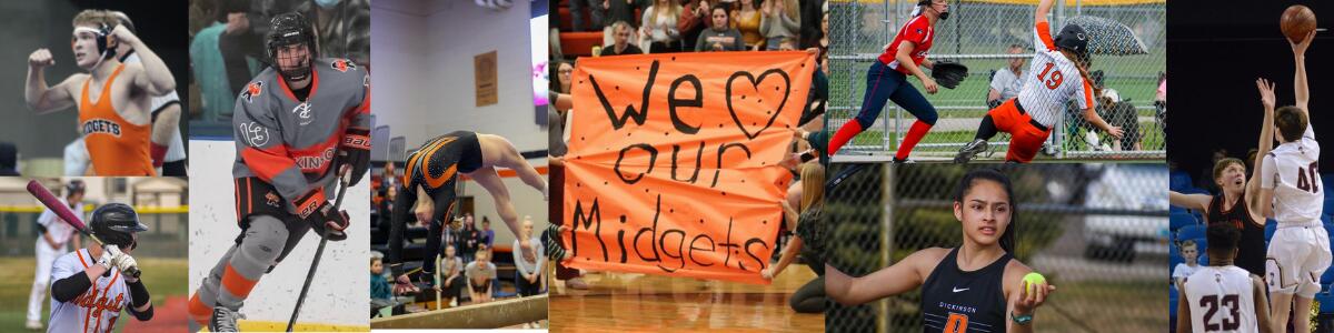 A collage of sports pictures: wrestling, baseball, boys hockey, gymnastics, "we love our midgets sign," softball, girls tennis, boys basketball